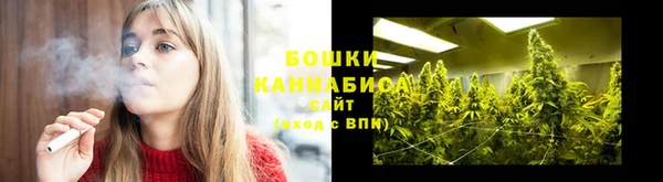 шишки Кулебаки