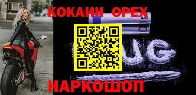 гашик Гусев