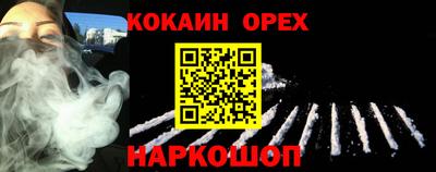 гашик Гусев