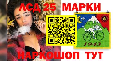 хмурый Гатчина