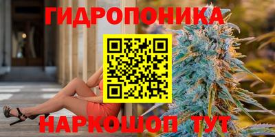 хмурый Гатчина