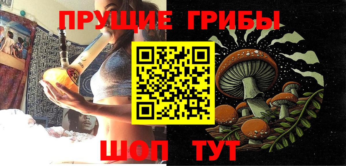 Галлюциногенные грибы GOLDEN TEACHER Кинель