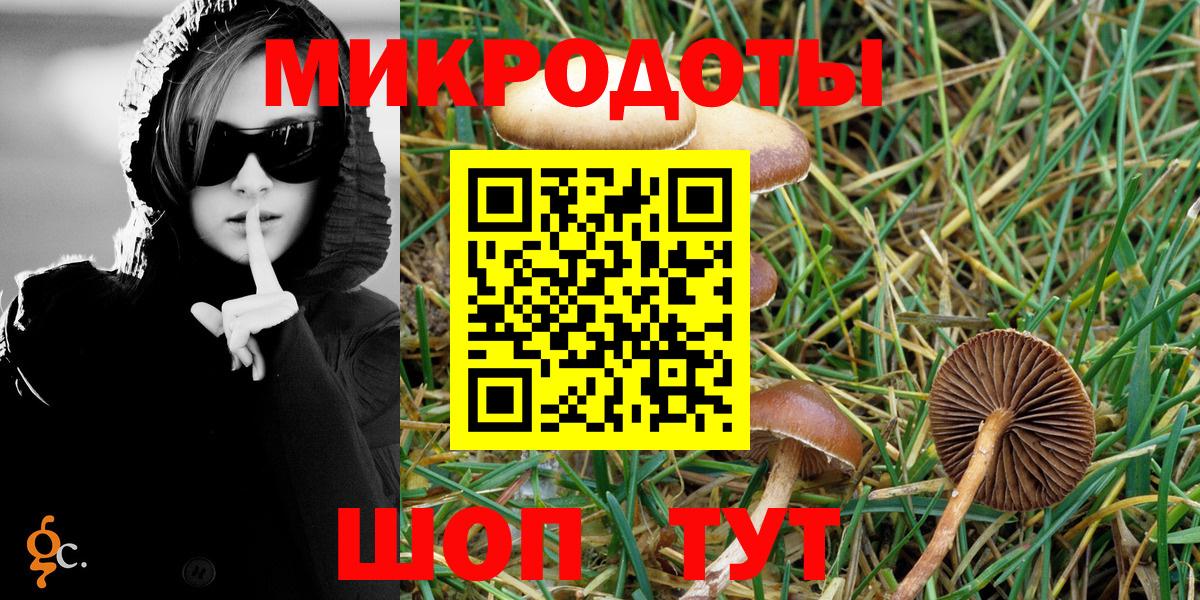 Галлюциногенные грибы Cubensis  Вход с VPN  Кинель  Псилоцибиновые грибы Psilocybe 